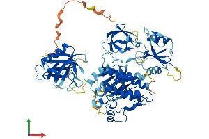 AlphaFold protein structure predicition of Mouse Recombinant Tec Protein, UniprotID P24604