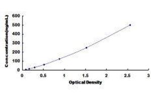 ELISA image for Hemoglobin ELISA Kit (ABIN1118090)