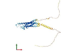 AlphaFold protein structure predicition of Human Recombinant MS4A1 Protein, UniprotID P11836