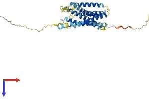 AlphaFold protein structure predicition of Human Recombinant CCRL2 Protein, UniprotID O00421