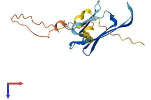 AlphaFold protein structure predicition of Mouse Recombinant Hspb3 Protein, UniprotID Q9QZ57