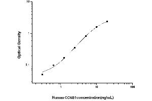 Typical standard curve (Cyclin B1 Kit ELISA)