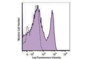 Flow Cytometry (FACS) image for anti-T Cell Receptor (TCR) beta (TCR beta) antibody (Alexa Fluor 594) (ABIN2656861)