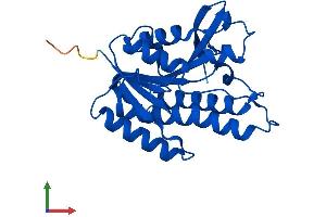 AlphaFold protein structure predicition of Mouse Recombinant Qdpr Protein, UniprotID Q8BVI4