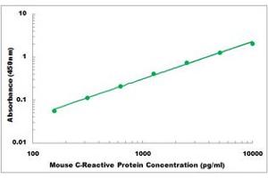 Representative Standard Curve