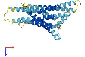 AlphaFold protein structure predicition of Human Recombinant TAS2R16 Protein, UniprotID Q9NYV7