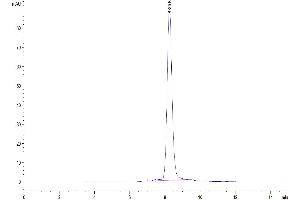 The purity of Human IL-11R alpha is greater than 95 % as determined by SEC-HPLC.