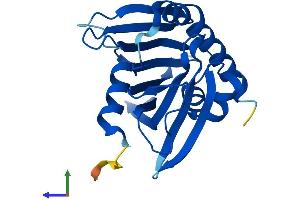 AlphaFold protein structure predicition of Human Recombinant PCTP Protein, UniprotID Q9UKL6