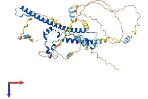 AlphaFold protein structure predicition of Human Recombinant WASF3 Protein, UniprotID Q9UPY6
