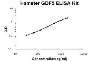 Hamster GDF5 PicoKine ELISA Kit standard curve (GDF5 Kit ELISA)