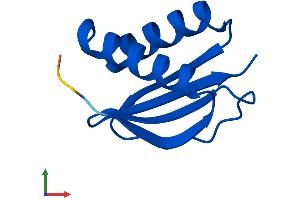 AlphaFold protein structure predicition of Human Recombinant DYNLL1 Protein, UniprotID P63167