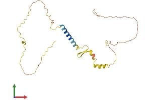 AlphaFold protein structure predicition of Human Recombinant CALY Protein, UniprotID Q9NYX4