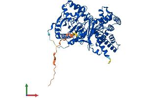 AlphaFold protein structure predicition of Human Recombinant CRAT Protein, UniprotID P43155