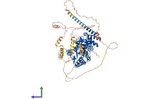 AlphaFold protein structure predicition of Mouse Recombinant Pnpla8 Protein, UniprotID Q8K1N1