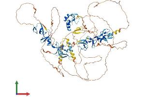 AlphaFold protein structure predicition of Mouse Recombinant Ablim1 Protein, UniprotID Q8K4G5