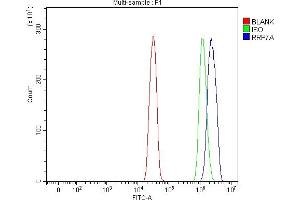 Flow Cytometry analysis of SiHa cells using anti-RRP7A antibody (ABIN7599044). (RRP7A anticorps  (AA 1-181))