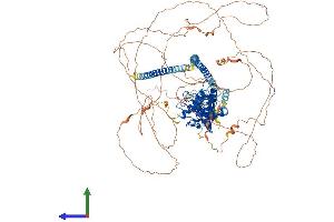 AlphaFold protein structure predicition of Human Recombinant PPP1R13B Protein, UniprotID Q96KQ4