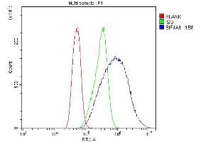 Flow Cytometry analysis of CACO-2 cells using anti- EIF4A1 antibody (ABIN7603143).