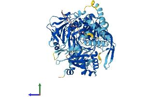 AlphaFold protein structure predicition of Human Recombinant ACSL3 Protein, UniprotID O95573