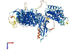 AlphaFold protein structure predicition of Mouse Recombinant Ints4 Protein, UniprotID Q8CIM8