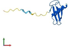 AlphaFold protein structure predicition of Human Recombinant ELOF1 Protein, UniprotID P60002