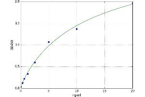 Des-gamma-Carboxy-Prothrombin (DCP) ELISA Kit