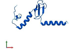 AlphaFold protein structure predicition of Human Recombinant RPL37AP8 Protein, UniprotID A6NKH3