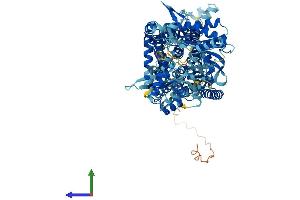 AlphaFold protein structure predicition of Mouse Recombinant ptchd1 Protein, UniprotID Q14B62