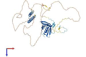 AlphaFold protein structure predicition of Mouse Recombinant Nup50 Protein, UniprotID Q9JIH2