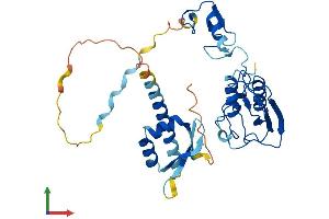 AlphaFold protein structure predicition of Mouse Recombinant Dtx3 Protein, UniprotID Q80V91