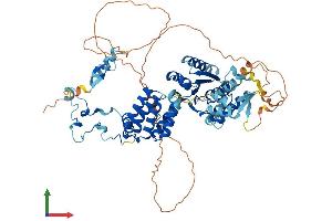 AlphaFold protein structure predicition of Human Recombinant WRNIP1 Protein, UniprotID Q96S55