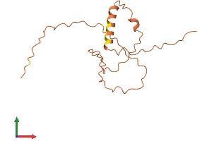 AlphaFold protein structure predicition of Human Recombinant CT62 Protein, UniprotID P0C5K7
