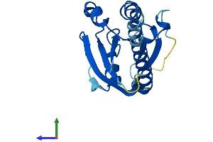 AlphaFold protein structure predicition of Human Recombinant IFT22 Protein, UniprotID Q9H7X7