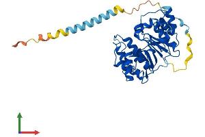 AlphaFold protein structure predicition of Human Recombinant A4GALT Protein, UniprotID Q9NPC4