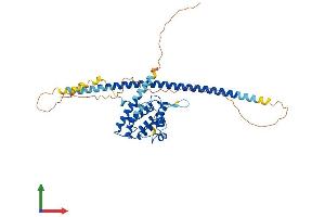 AlphaFold protein structure predicition of Mouse Recombinant Rundc3b Protein, UniprotID Q6PDC0