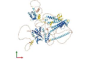 AlphaFold protein structure predicition of Human Recombinant KCNH8 Protein, UniprotID Q96L42