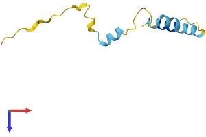 AlphaFold protein structure predicition of Human Recombinant NUPR1 Protein, UniprotID O60356