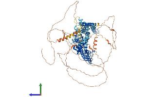 AlphaFold protein structure predicition of Human Recombinant KCNB1 Protein, UniprotID Q14721