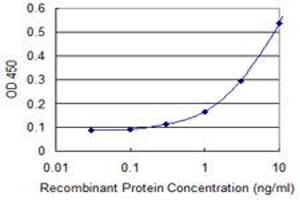 Detection limit for recombinant GST tagged DHX9 is 0. (DHX9 anticorps  (AA 1-90))