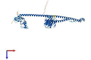 AlphaFold protein structure predicition of Human Recombinant TRIM27 Protein, UniprotID P14373