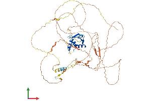 AlphaFold protein structure predicition of Human Recombinant ELF1 Protein, UniprotID P32519