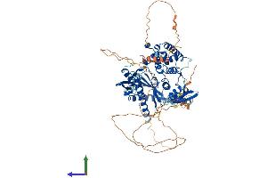 AlphaFold protein structure predicition of Human Recombinant STRBP Protein, UniprotID Q96SI9