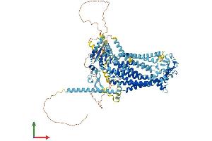 AlphaFold protein structure predicition of Human Recombinant ANO1 Protein, UniprotID Q5XXA6