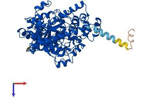 AlphaFold protein structure predicition of Human Recombinant FAAH Protein, UniprotID O00519
