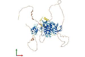 AlphaFold protein structure predicition of Mouse Recombinant Dclk1 Protein, UniprotID Q9JLM8