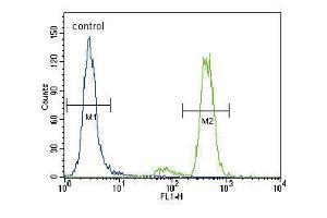 PKC alpha Antibody (C-term) (ABIN391001 and ABIN2841177) flow cytometric analysis of Hela cells (right histogram) compared to a negative control cell (left histogram). (PKC alpha anticorps  (C-Term))
