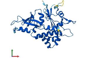 AlphaFold protein structure predicition of Mouse Recombinant Atg5 Protein, UniprotID Q99J83