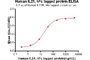 ELISA plate pre-coated by 2 μg/mL (100 μL/well) Human IL21R, His tagged protein ABIN7092745, ABIN7272298 and ABIN7272299 can bind Human IL21, hFc Tagged protein (ABIN6964397, ABIN7042851 and ABIN7042852) in a linear range of 1.