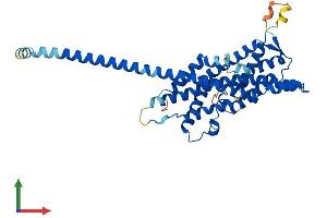 AlphaFold protein structure predicition of Mouse Recombinant Pex3 Protein, UniprotID Q9QXY9
