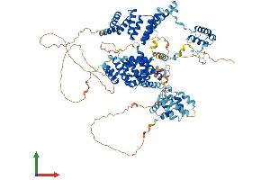 AlphaFold protein structure predicition of Mouse Recombinant Spag1 Protein, UniprotID Q80ZX8